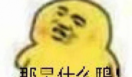 今日吃瓜爆料了吗图片表情包,表情包带你一探究竟！